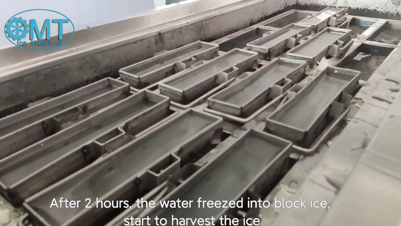 Màquina de blocs de gel OMT 300kg-8